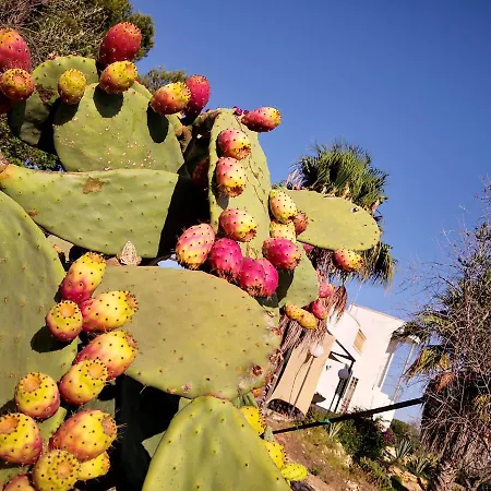 B&B Villa Gallipoli Bed & Breakfast Gallipoli